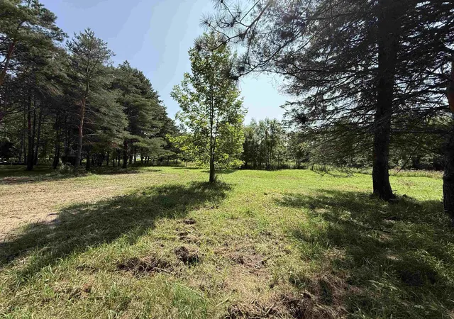 Photo 3 of Land for sale at 1635 Cumberland Cir, Gladwin, MI 48624 | MLS# 50219664 | Listing updated on 2026-09-07