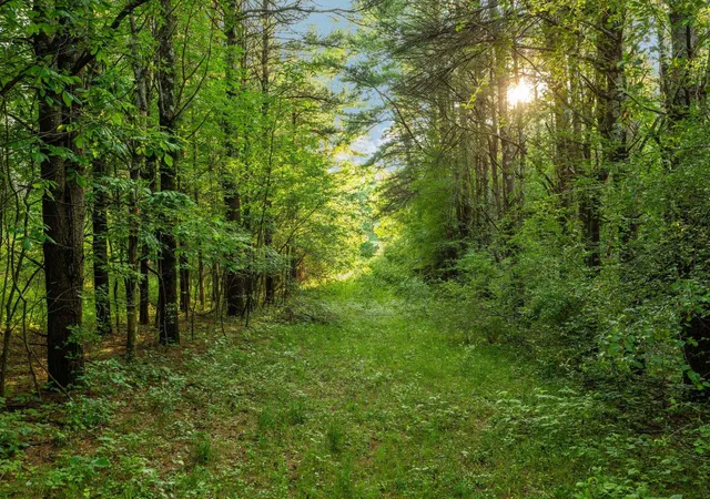 Photo 5 of Land for sale at Parcel N 12 Vincer Way, Northport, MI 49670 | MLS# 80071994 | Listing updated on 2026-08-09