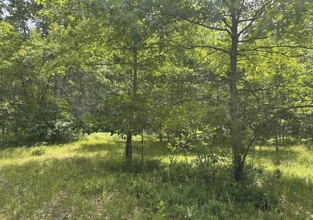 10th image of 10063 N Irons Rd, Irons, MI 49644 | MLS# 70552861