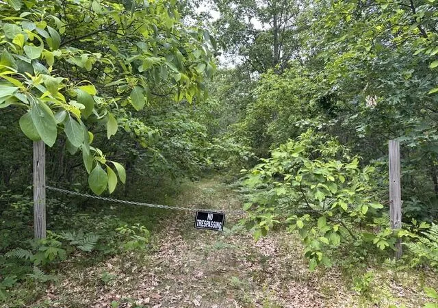 1st image of 10063 N Irons Rd, Irons, MI 49644 | MLS# 70552861