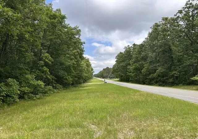 2nd image of 10063 N Irons Rd, Irons, MI 49644 | MLS# 70552861