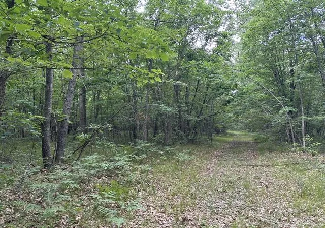 3rd image of 10063 N Irons Rd, Irons, MI 49644 | MLS# 70552861