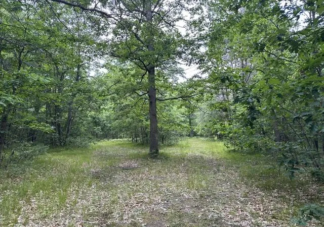 4th image of 10063 N Irons Rd, Irons, MI 49644 | MLS# 70552861