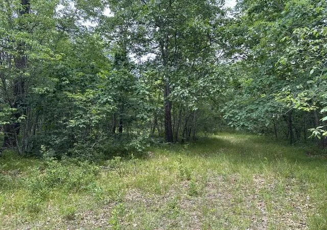 5th image of 10063 N Irons Rd, Irons, MI 49644 | MLS# 70552861