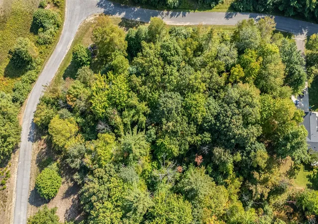 Homes for sale in Big Rapids, MI | Lot 11 Executive Dr, Big Rapids, MI 49307 | MLS# 70495274