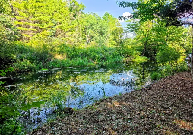 Photo 1 of Land for sale at 00 W Wilmas Way, Baldwin, MI 49304 | MLS# 70524431 | Listing updated on 2026-07-21