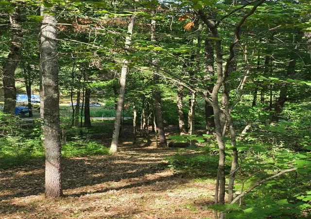 Photo 2 of Land for sale at 00 W Wilmas Way, Baldwin, MI 49304 | MLS# 70524431 | Listing updated on 2026-07-21