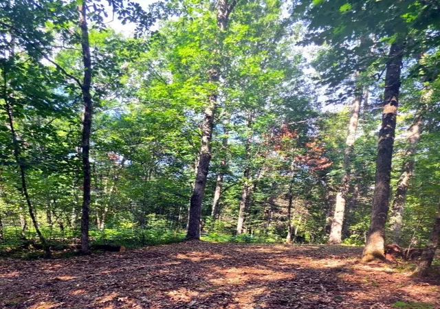 Photo 3 of Land for sale at 00 W Wilmas Way, Baldwin, MI 49304 | MLS# 70524431 | Listing updated on 2026-07-21