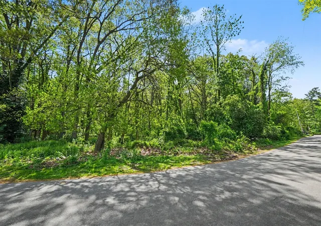 Homes for sale in Spring Lake, MI | V/L Parcel A Vine, Spring Lake, MI 49456 | MLS# 70534447