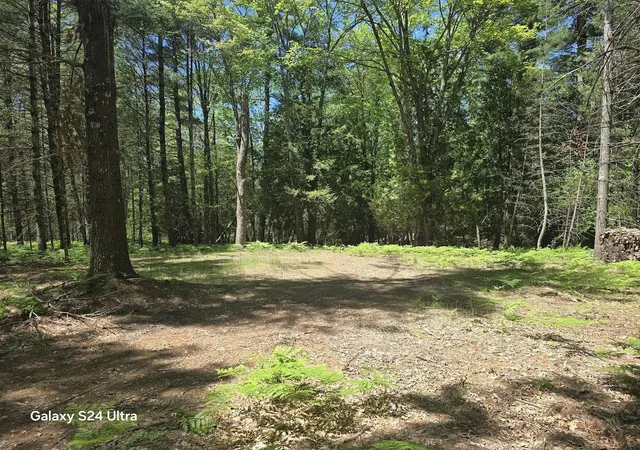 2nd image of 321 W Runway Dr, Luther, MI 49656 | MLS# 70537313