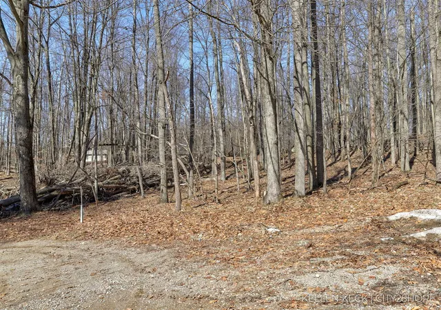 Photo 2 of Land for sale at 11270 Apache Wells Ct, Stanwood, MI 49346 | MLS# 70517470 | Listing updated on 2026-08-04