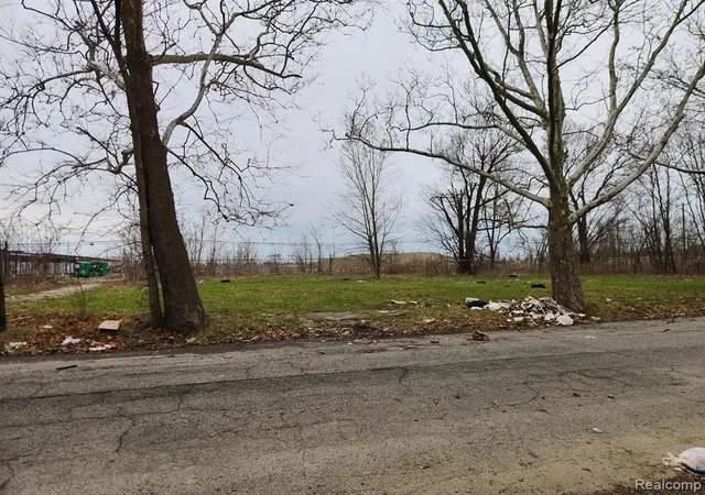 Photo 1 of Land for sale at 1514 Gray St, Detroit, MI 48215 | MLS# 60395941 | Listing updated on 2026-05-08