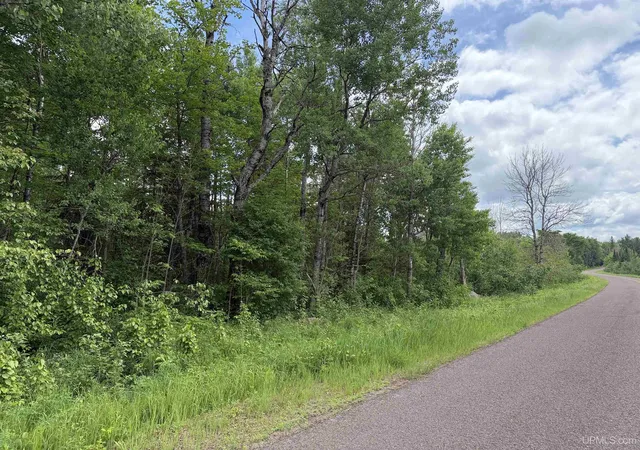 Homes for sale in Ironwood, MI | 8090 S Davis Rd, Ironwood, MI 49938 | MLS# 50210994