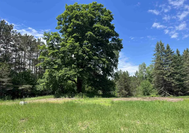 Homes for sale in Lake Ann, MI | Parcel E Maple City Hwy, Lake Ann, MI 49650 | MLS# 80070036