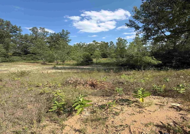 Photo 3 of Land for sale at V/l Ambrose Rd, Mayville, MI 48744 | MLS# 50217489 | Listing updated on 2026-08-05