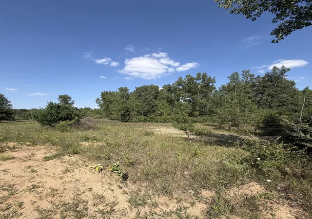 Photo 4 of Land for sale at V/l Ambrose Rd, Mayville, MI 48744 | MLS# 50217489 | Listing updated on 2026-08-05