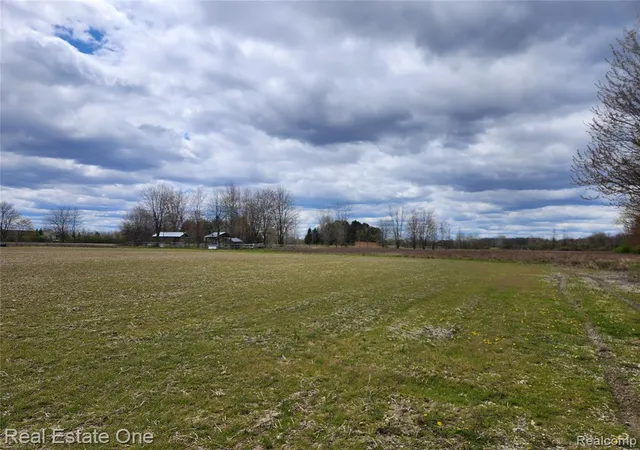 Homes for sale in Riley, MI | 2320 Braidwood Rd, Riley, MI 48041 | MLS# 60988856