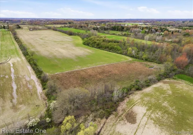 Homes for sale in Riley, MI | 2320 Braidwood Rd, Riley, MI 48041 | MLS# 60988856