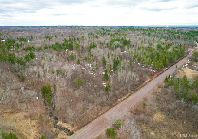 Homes for sale in Hancock, MI | Tbd Oikarainen Rd, Hancock, MI 49930 | MLS# 50205978