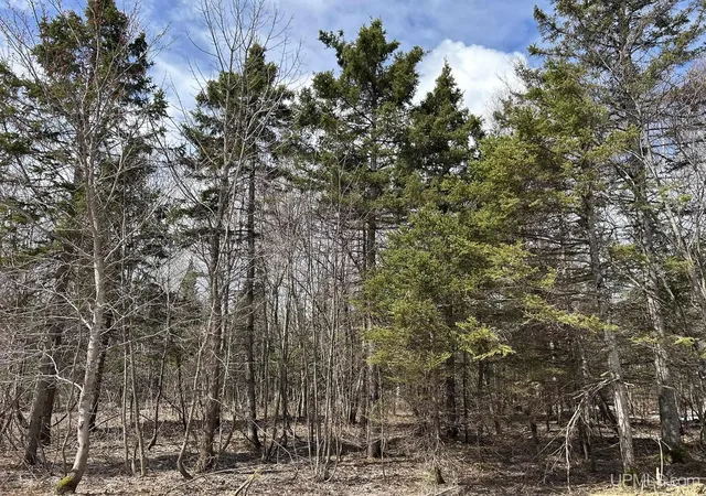 Homes for sale in Hancock, MI | Tbd Oikarainen Rd, Hancock, MI 49930 | MLS# 50205978
