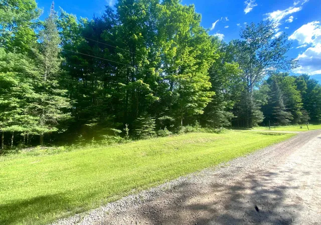 Homes for sale in Cornell, MI | Tbd Cedardale 28Th Rd, Cornell, MI 49818 | MLS# 50212510