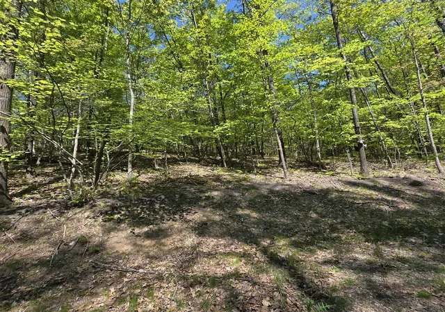 Homes for sale in Evart, MI | 4796 90Th Ave, Evart, MI 49631 | MLS# 70535631