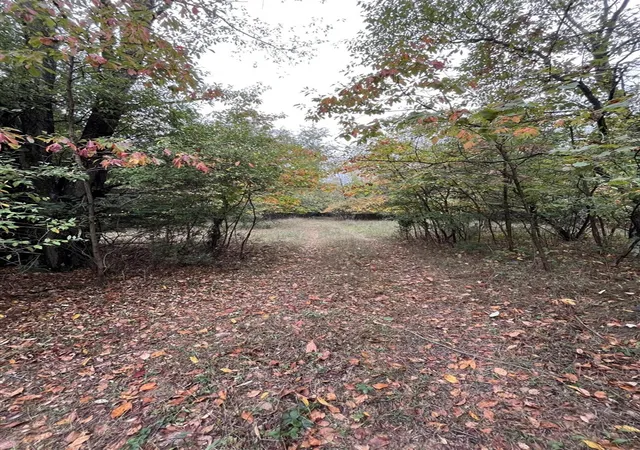 Photo 2 of Land for sale at 0 65th Street, Holland, MI 49423 | MLS# 70493426 | Listing updated on 2026-03-09