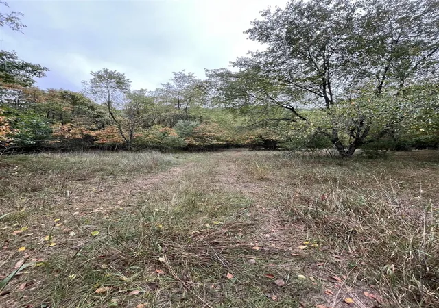 Photo 4 of Land for sale at 0 65th Street, Holland, MI 49423 | MLS# 70493426 | Listing updated on 2026-03-09