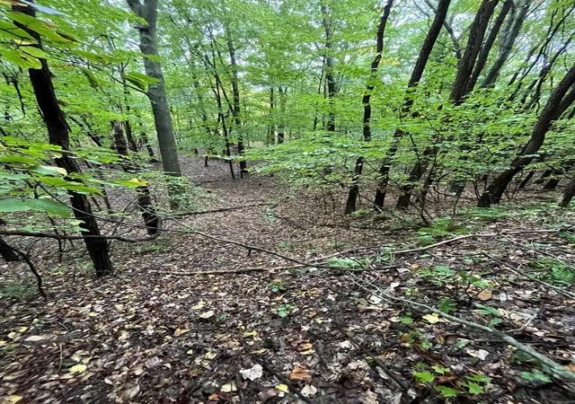 Photo 5 of Land for sale at 0 65th Street, Holland, MI 49423 | MLS# 70493426 | Listing updated on 2026-03-09