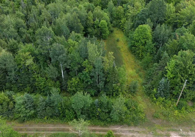 Photo 1 of Land for sale at 26784 Old M 64 Hwy, Ontonagon, MI 49953 | MLS# 50218761 | Listing updated on 2026-08-17