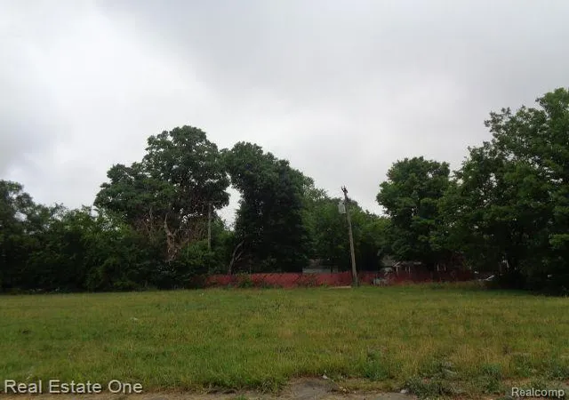 Photo 2 of Land for sale at 16530 Fullerton St, Detroit, MI 48227 | MLS# 60233048 | Listing updated on 2026-01-21