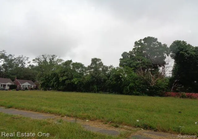 Photo 3 of Land for sale at 16530 Fullerton St, Detroit, MI 48227 | MLS# 60233048 | Listing updated on 2026-01-21