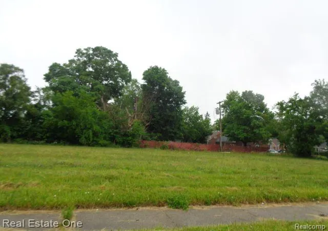 Photo 4 of Land for sale at 16530 Fullerton St, Detroit, MI 48227 | MLS# 60233048 | Listing updated on 2026-01-21