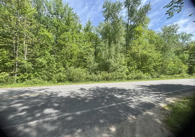 Photo 3 of Land for sale at Wildwood Rd, Shelbyville, MI 49344 | MLS# 70534091 | Listing updated on 2026-06-15