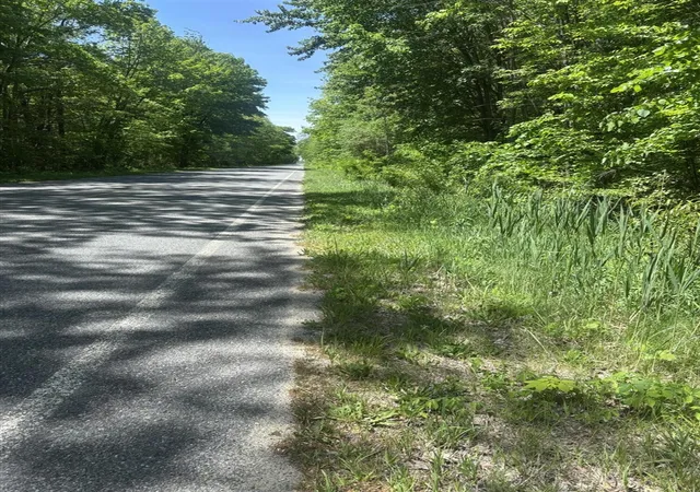 Photo 4 of Land for sale at Wildwood Rd, Shelbyville, MI 49344 | MLS# 70534091 | Listing updated on 2026-06-15