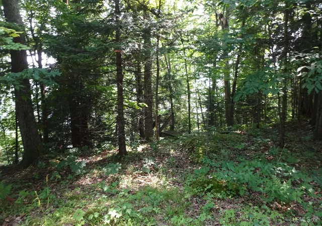 Homes for sale in Au Train, MI | Tbd Autrain Forest Lake Rd, Au Train, MI 49806 | MLS# 50183088