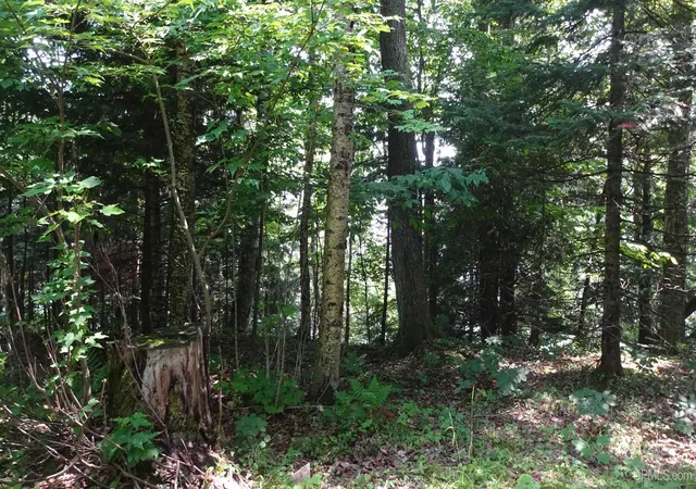 Homes for sale in Au Train, MI | Tbd Autrain Forest Lake Rd, Au Train, MI 49806 | MLS# 50183088