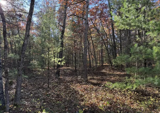 Homes for sale in Free Soil, MI | Parcel 5 County Line Rd, Free Soil, MI 49411 | MLS# 70519667