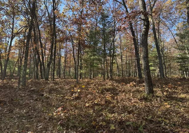 Homes for sale in Free Soil, MI | Parcel 5 County Line Rd, Free Soil, MI 49411 | MLS# 70519667