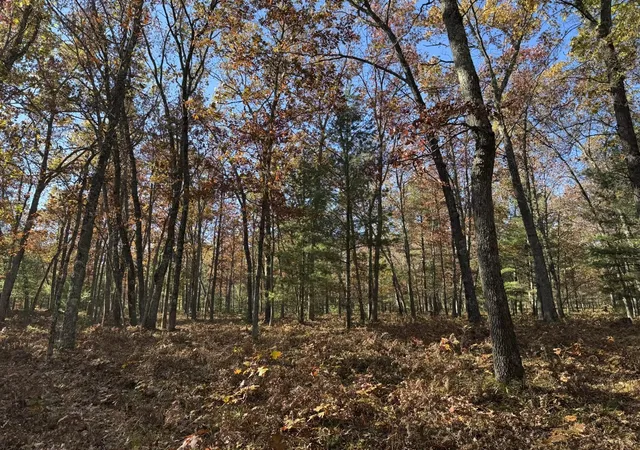 Homes for sale in Free Soil, MI | Parcel 5 County Line Rd, Free Soil, MI 49411 | MLS# 70519667