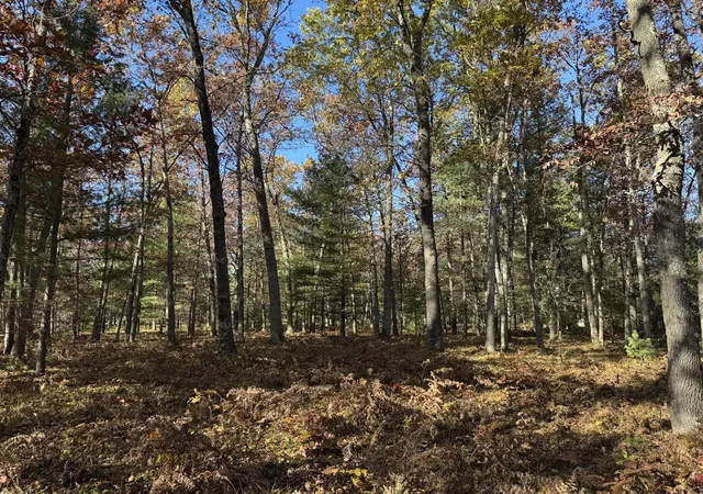 Homes for sale in Free Soil, MI | Parcel 5 County Line Rd, Free Soil, MI 49411 | MLS# 70519667