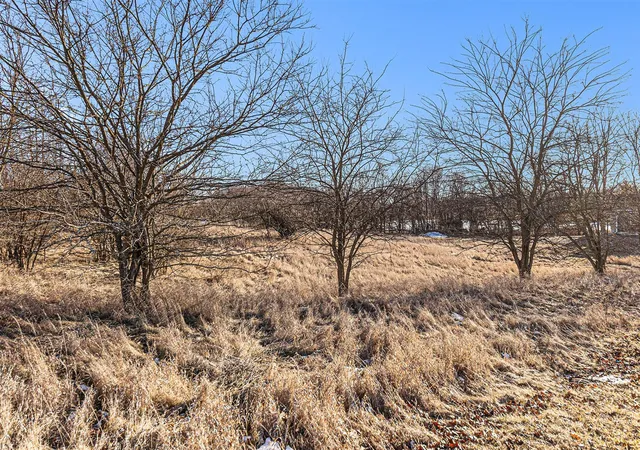 Photo 4 of Land for sale at 10076 Emerald Dr, Brooklyn, MI 49230 | MLS# 70476204 | Listing updated on 2025-08-19