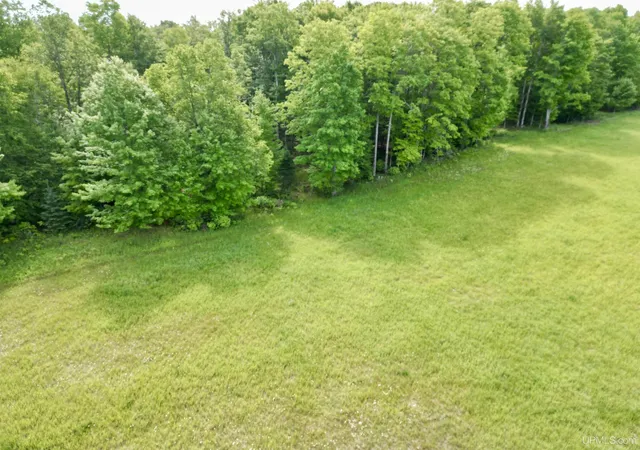 Homes for sale in Cornell, MI | Tbd River J5 Parcel C Rd, Cornell, MI 49818 | MLS# 50212089