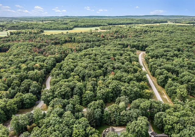 2nd image of Lot 16 Pine St, Mears, MI 49436 | MLS# 70493564