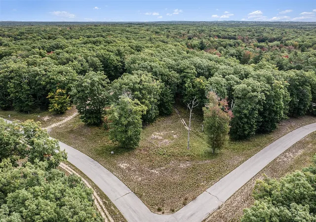 30th image of Lot 16 Pine St, Mears, MI 49436 | MLS# 70493564