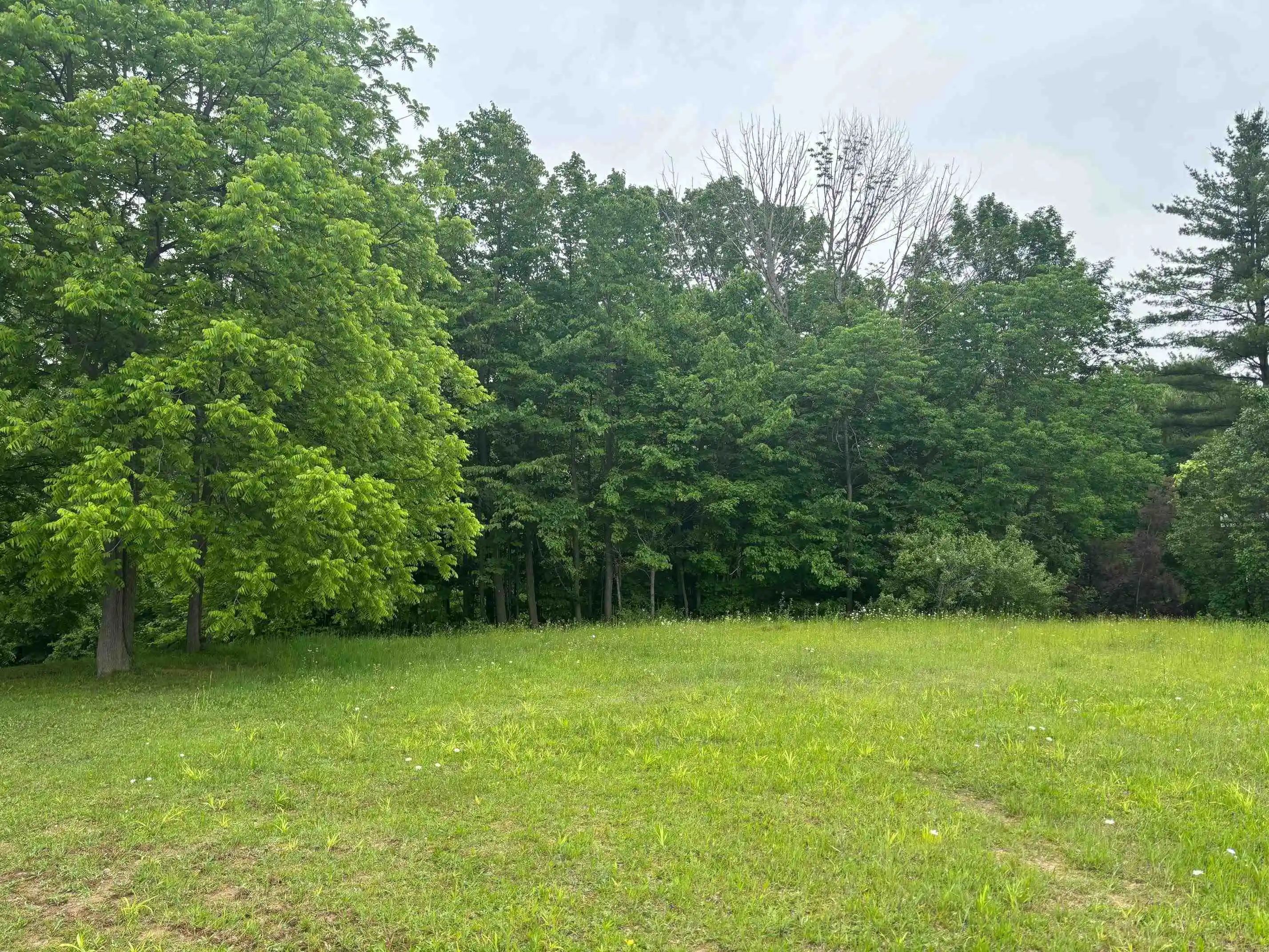 Photo 1 of Land for sale at 4141 Wieman Rd, Beaverton, MI 48612 | MLS# 50225591 | Listing updated on 2026-10-22