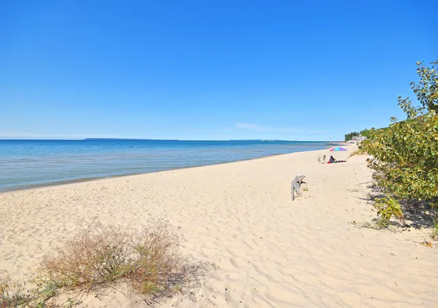 Homes for sale in Glen Arbor, MI | 3 Brook Hill Cottages, Glen Arbor, MI 49636 | MLS# 80065452