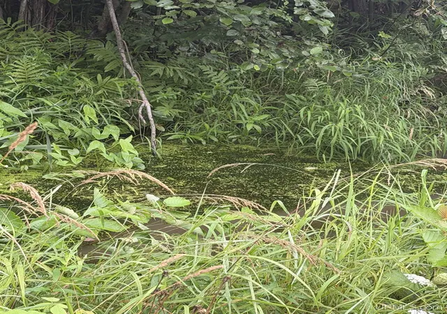 Photo 16 of Land for sale at Tbd 2nd Street, Republic, MI 49879 | MLS# 50218107 | Listing updated on 2026-08-11