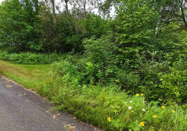 Photo 3 of Land for sale at Tbd 2nd Street, Republic, MI 49879 | MLS# 50218107 | Listing updated on 2026-08-11