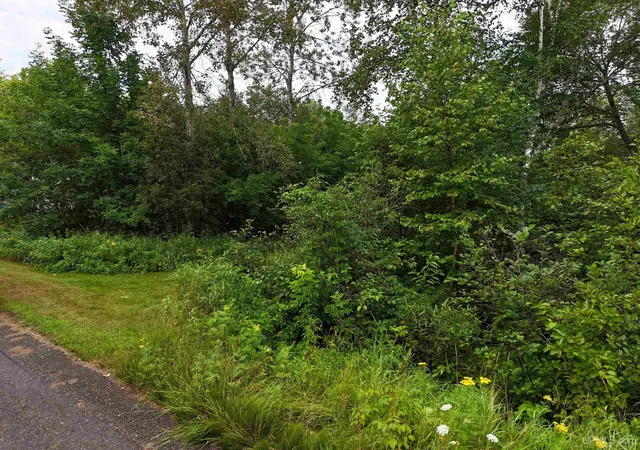Photo 4 of Land for sale at Tbd 2nd Street, Republic, MI 49879 | MLS# 50218107 | Listing updated on 2026-08-11